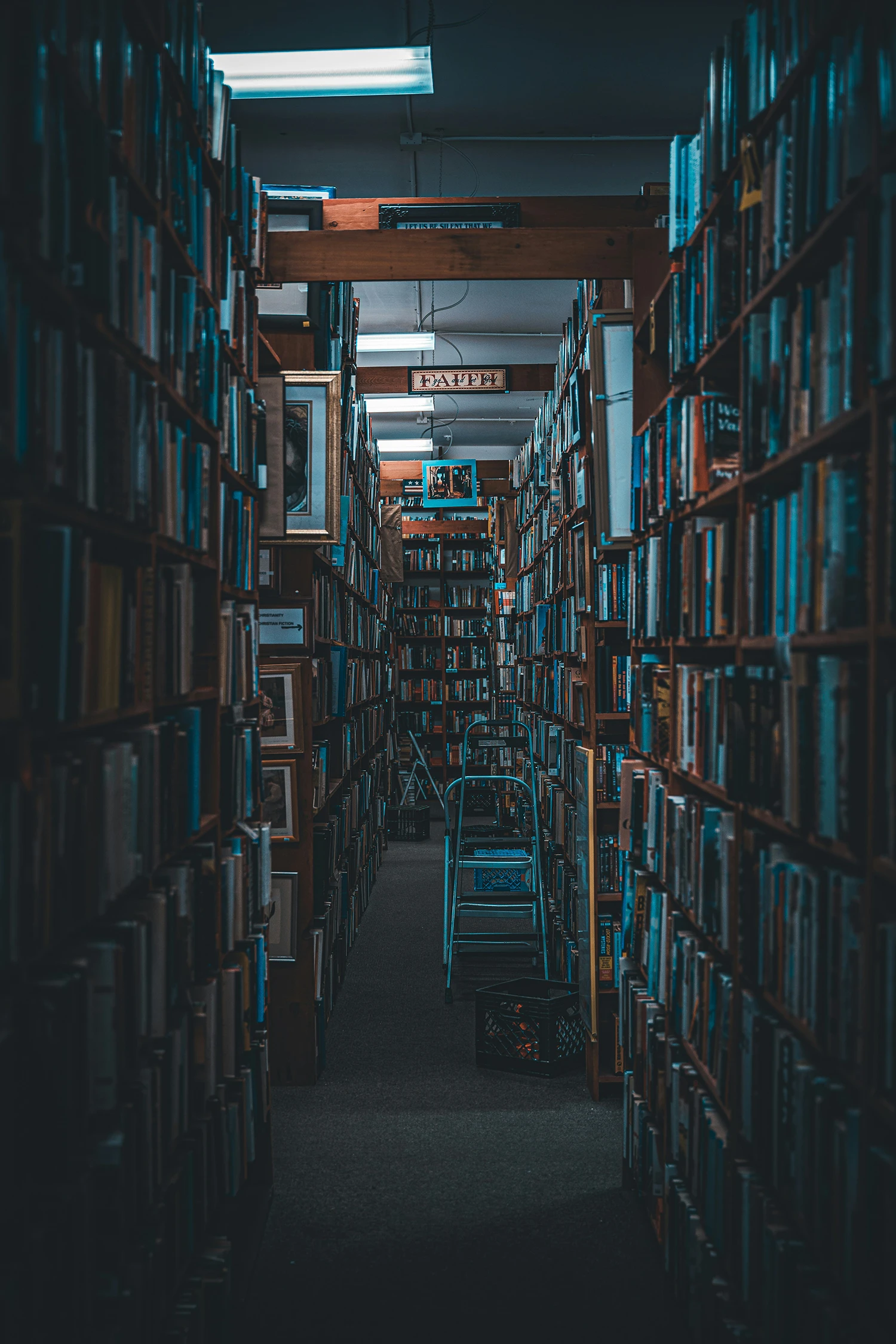 Rows of books arranged on illuminated library shelves