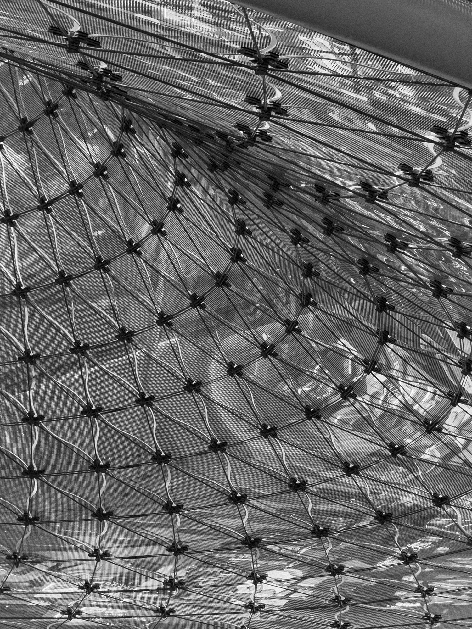 Connected structural lines forming an abstract network pattern